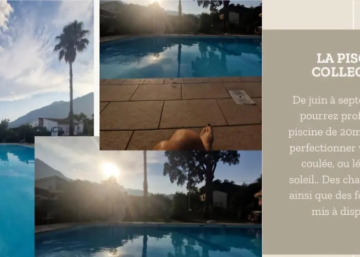 Agapanthe Location San-Nicolao