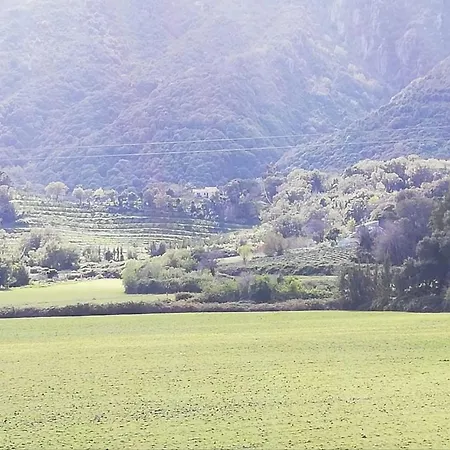 Lejlighed Agapanthe Location San-Nicolao