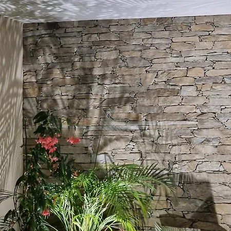 Agapanthe Location Apartamento San-Nicolao