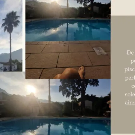 Agapanthe Location San-Nicolao