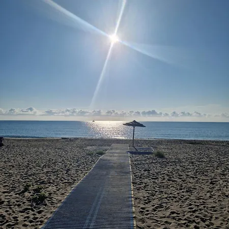 Agapanthe Location Lejlighed San-Nicolao