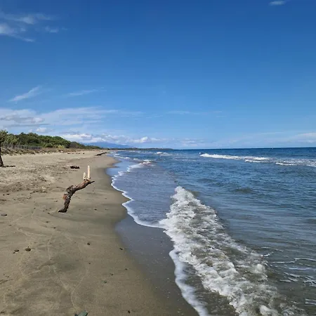 Agapanthe Location