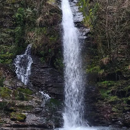 Apartamento Agapanthe Location *