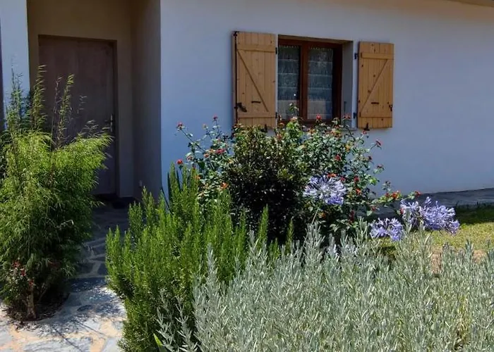 Agapanthe Location *