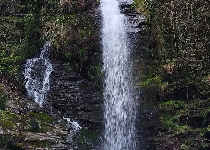 アパート Agapanthe Location *